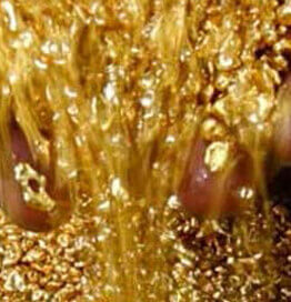 Idecc-gdl Gold Power & Silk Energy
